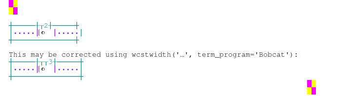 Terminal screenshot of the rendering discrepancy