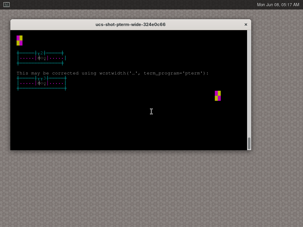 Terminal screenshot of the rendering discrepancy