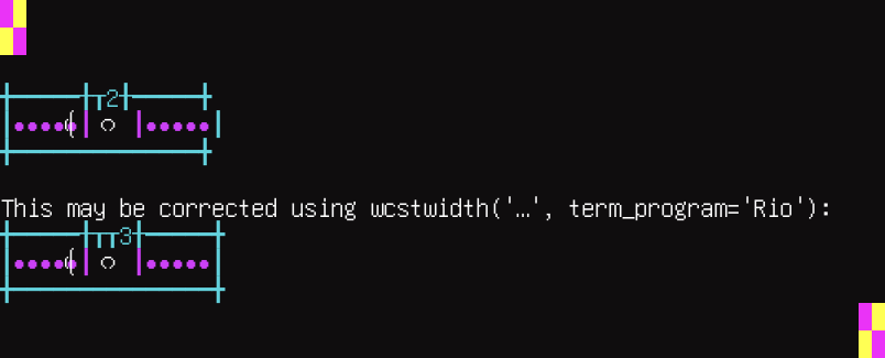 Terminal screenshot of the rendering discrepancy