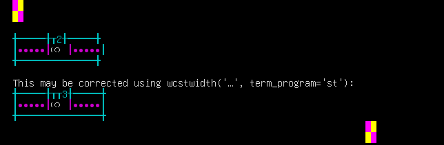 Terminal screenshot of the rendering discrepancy