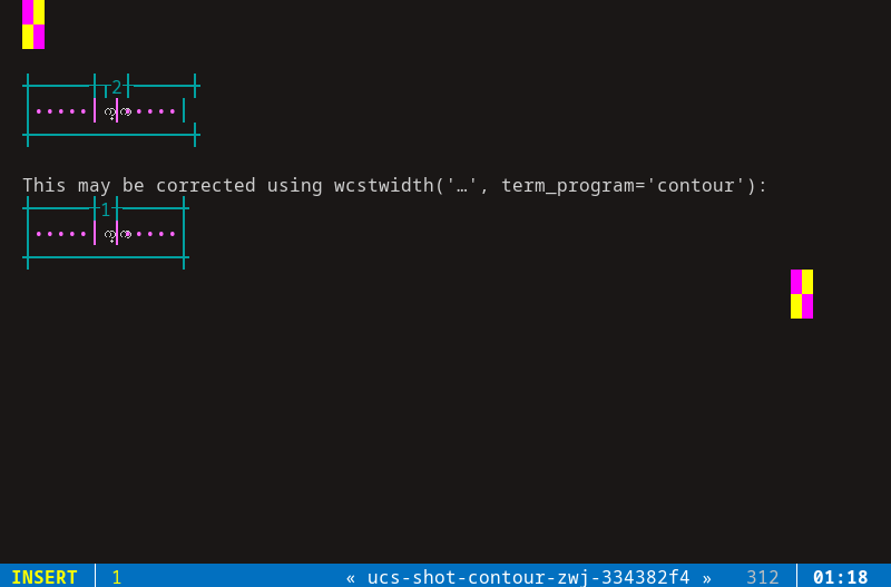 Terminal screenshot of the rendering discrepancy