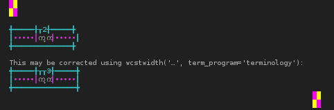 Terminal screenshot of the rendering discrepancy