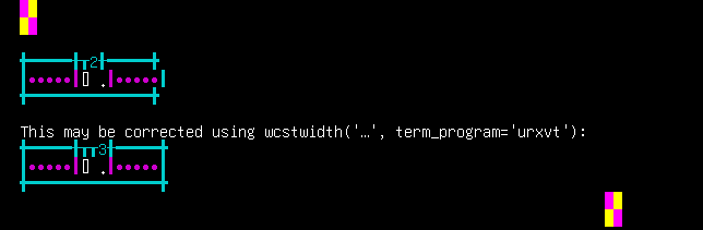 Terminal screenshot of the rendering discrepancy