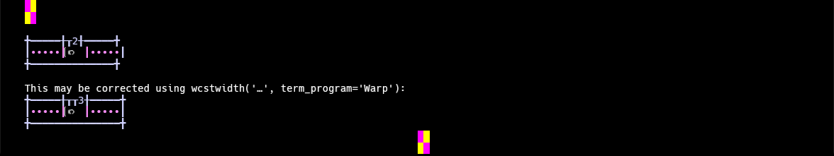 Terminal screenshot of the rendering discrepancy