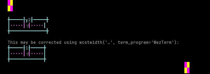 Terminal screenshot of the rendering discrepancy