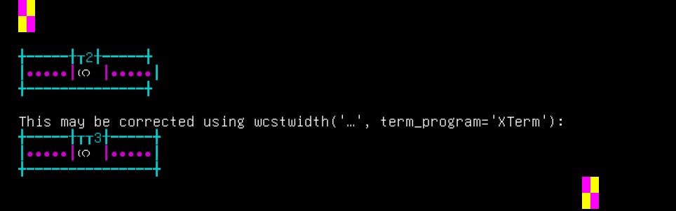 Terminal screenshot of the rendering discrepancy