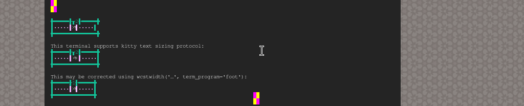 Terminal screenshot of the rendering discrepancy