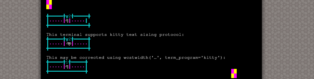 Terminal screenshot of the rendering discrepancy